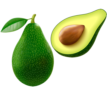 avocado.fw